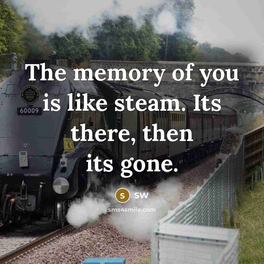 “The memory of you is like steam. Its there, then…” quote by SW