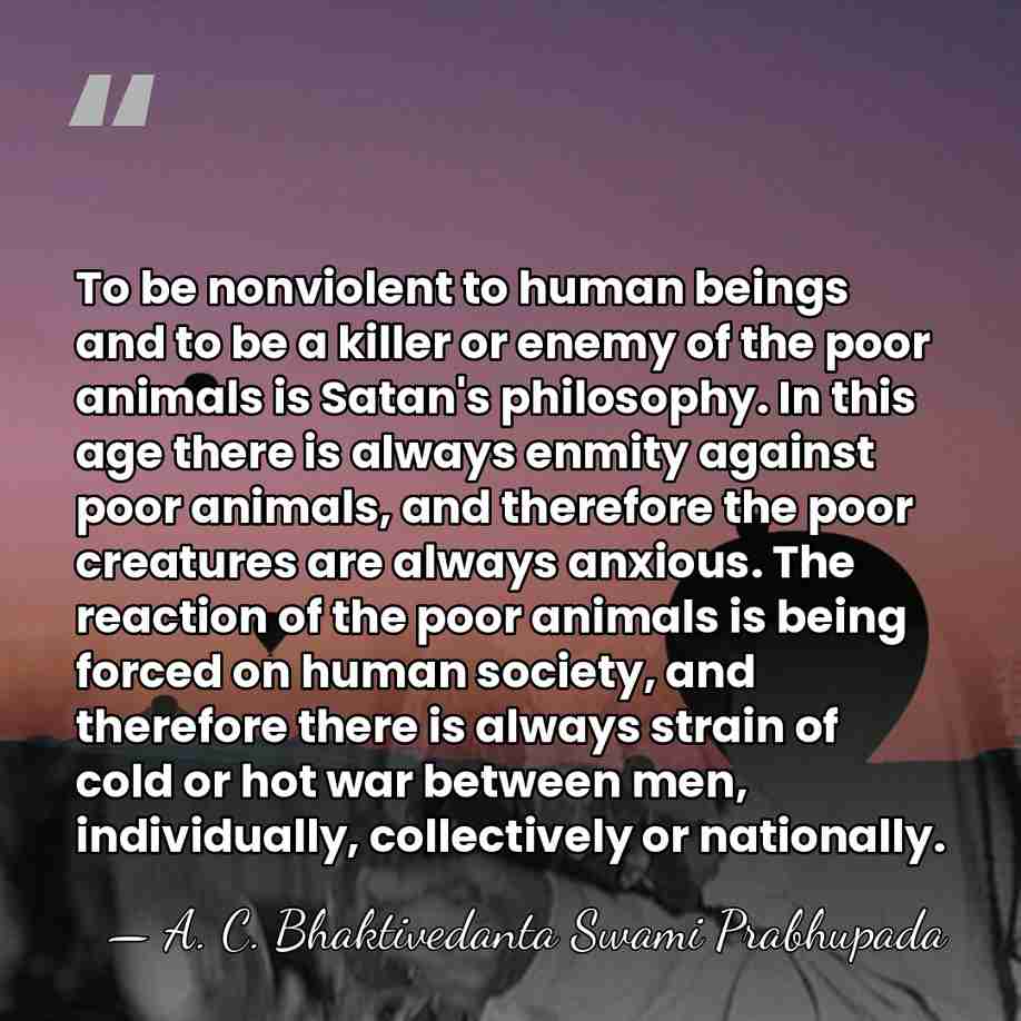 To be nonviolent to human beings and to be a killer or&hellip; - A. C. Bhaktivedanta Swami Prabhupada