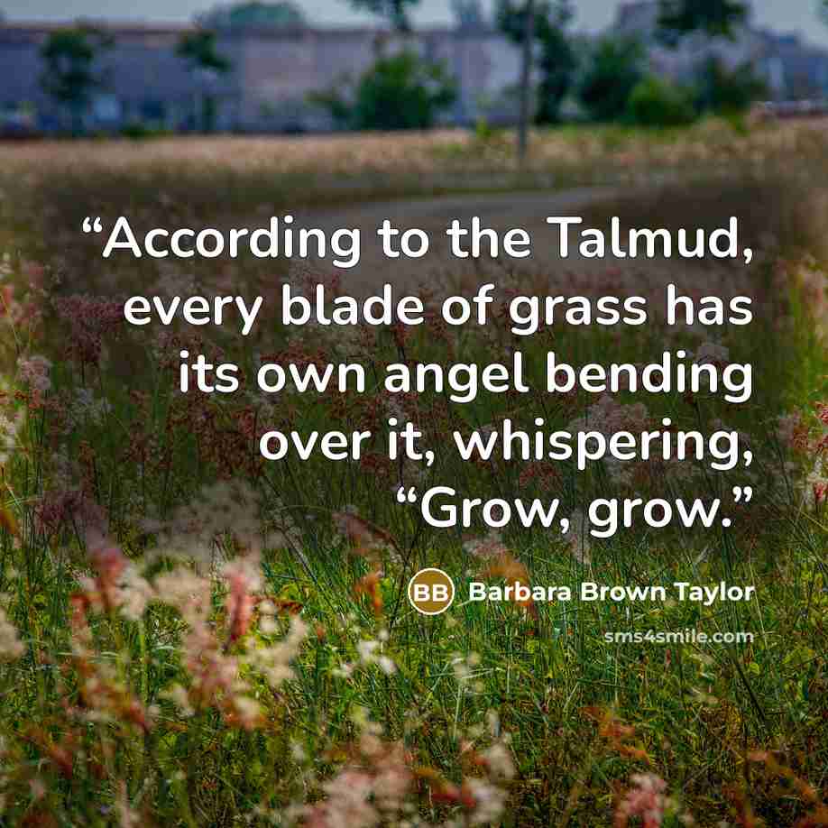 “According to the Talmud, every blade of grass has its own angel bending over it, whispering, “Grow, grow.” quote by Barbara Brown Taylor