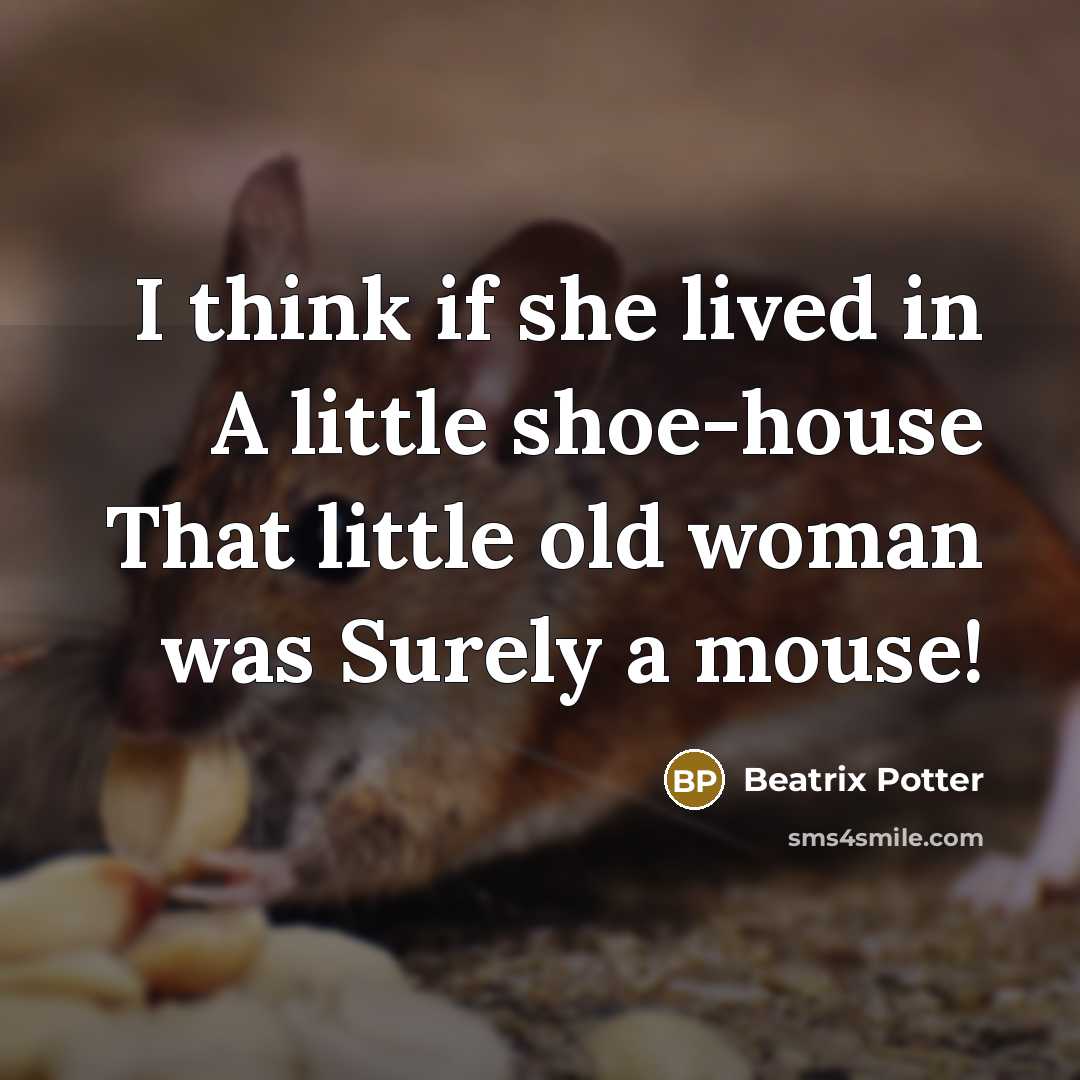 “I think if she lived in A little shoe-house That…” quote by Beatrix Potter
