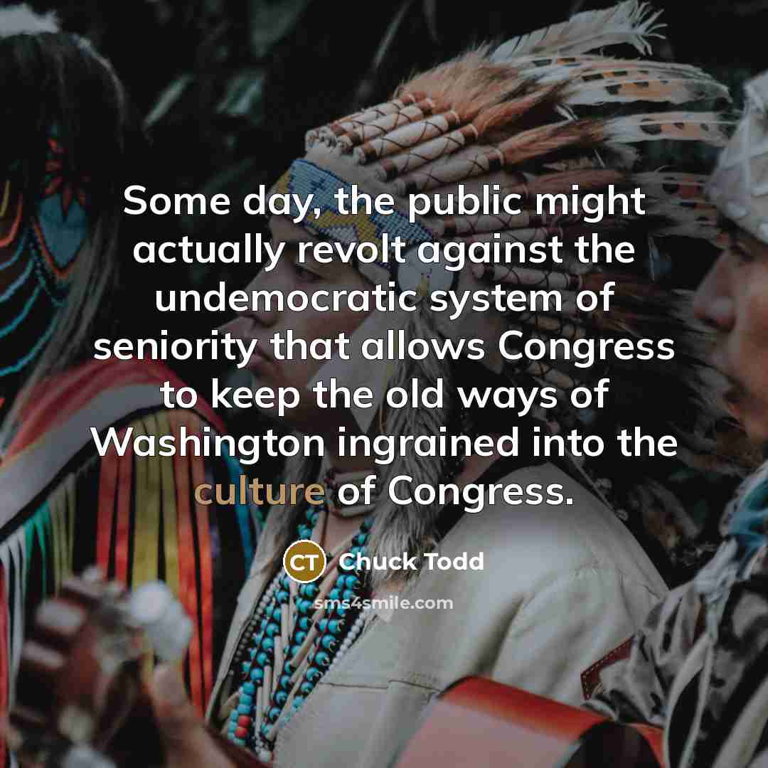 “Some day, the public might actually revolt against the undemocratic…” quote by Chuck Todd