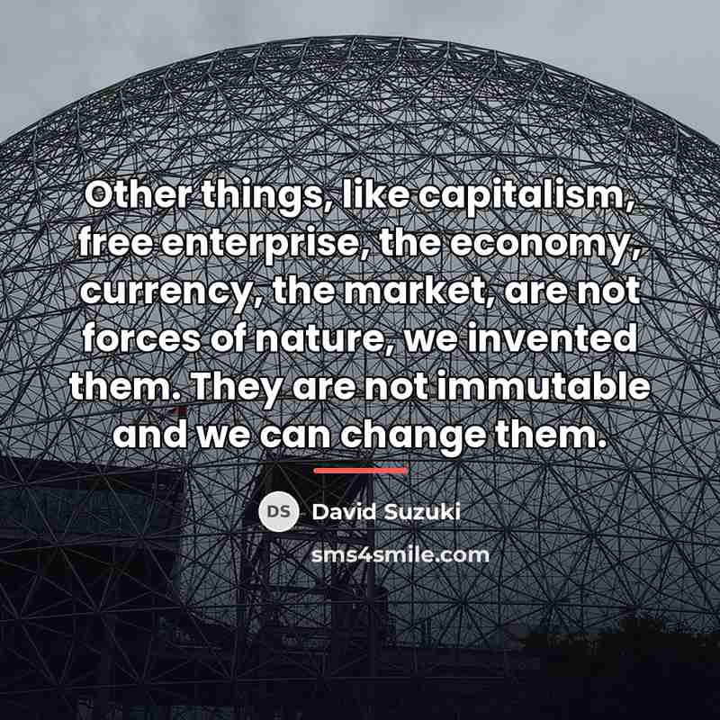 “Other things, like capitalism, free enterprise, the economy, currency, the…” quote by David Suzuki