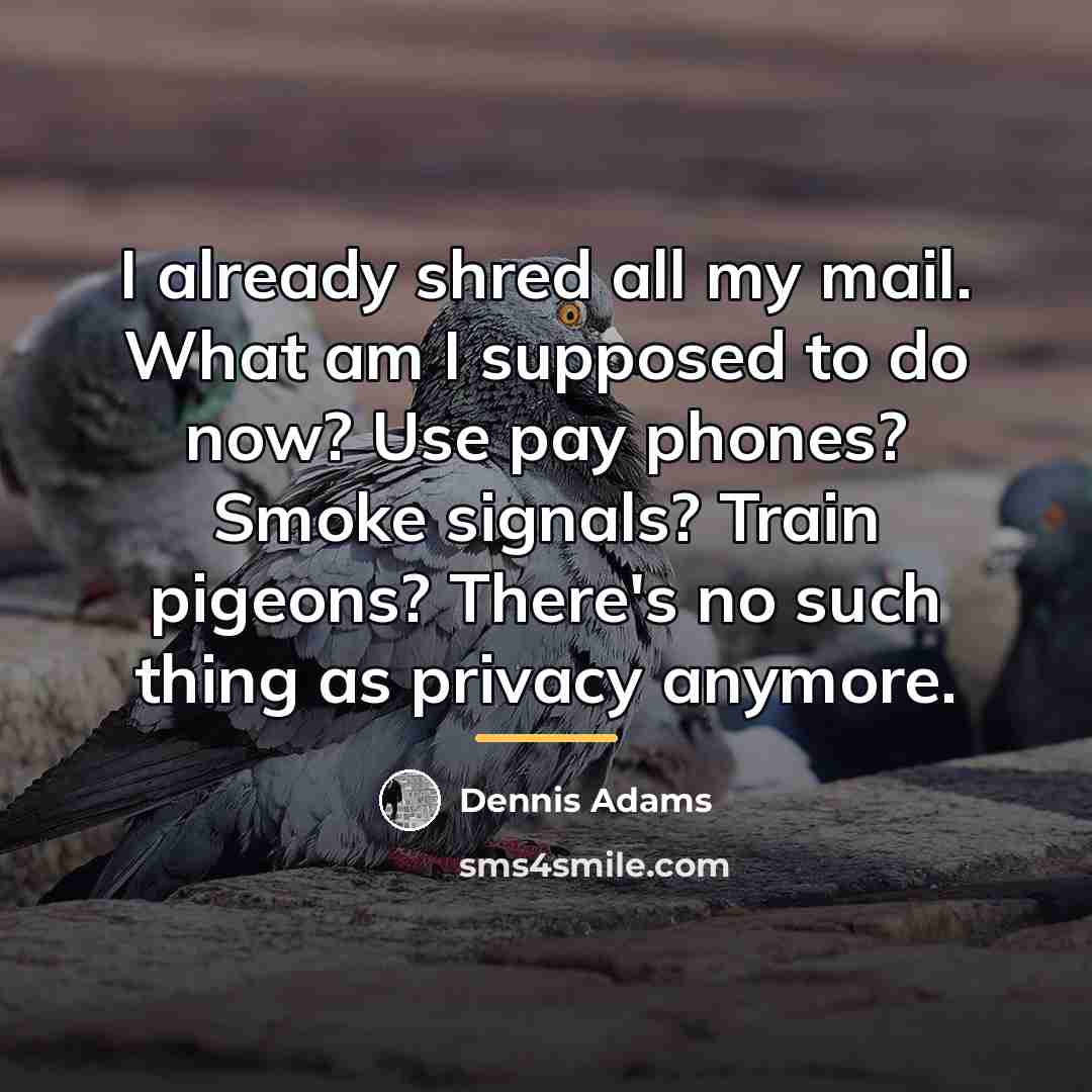 “I already shred all my mail. What am I supposed…” quote by Dennis Adams