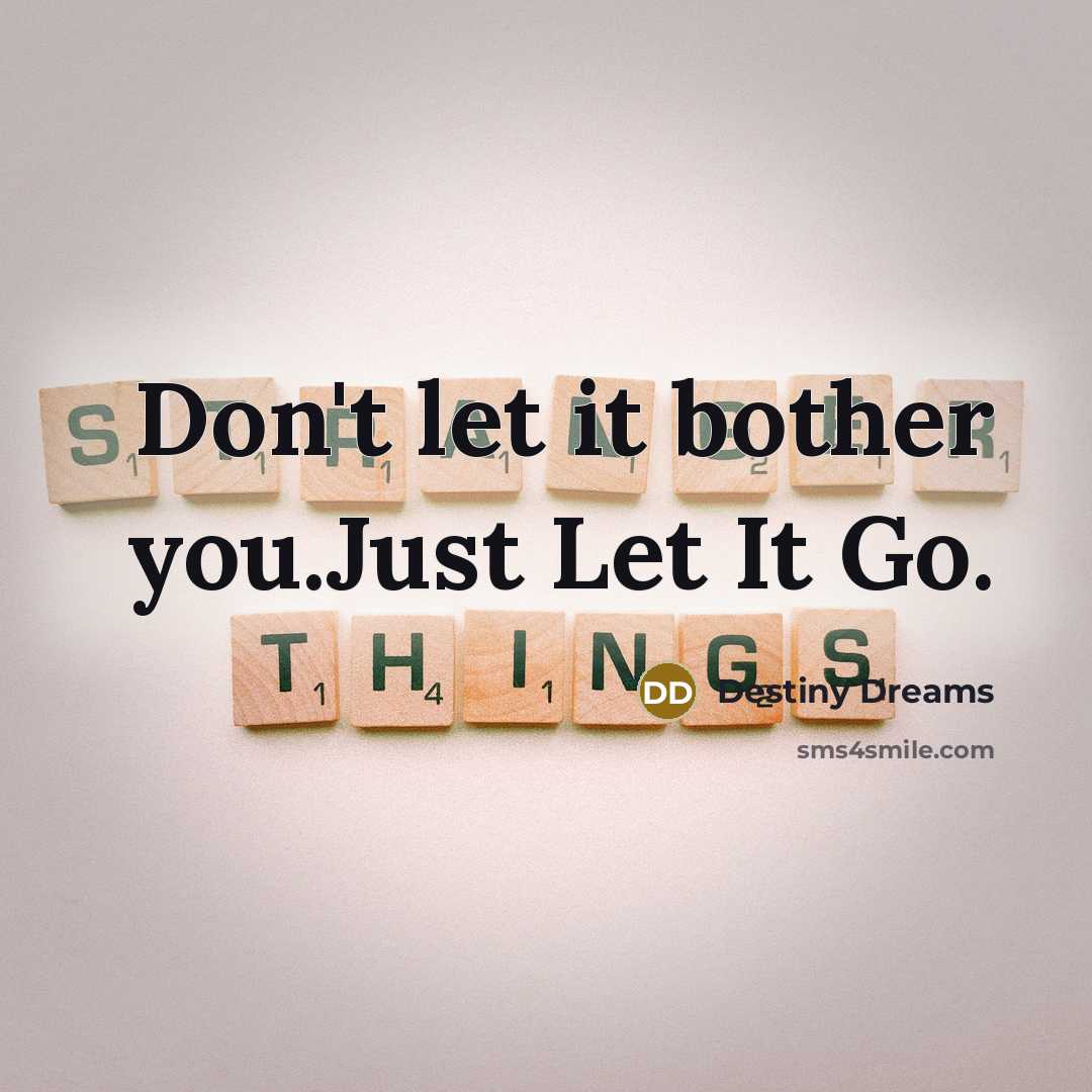 “Don't let it bother you.Just Let It Go.…” quote by Destiny Dreams