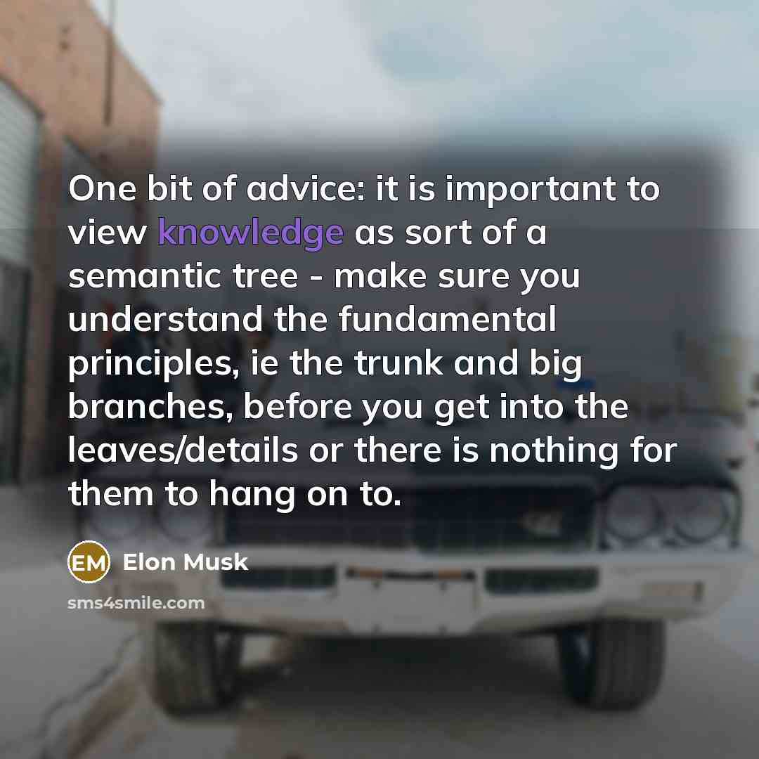 “One bit of advice: it is important to view knowledge…” quote by Elon Musk