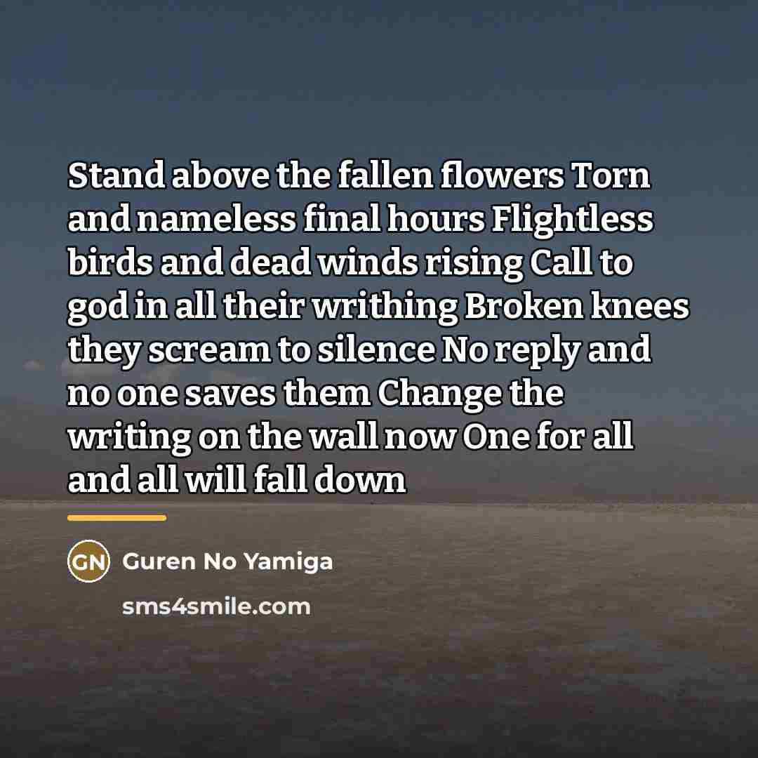 “Stand above the fallen flowers Torn and nameless final hours…” quote by Guren No Yamiga