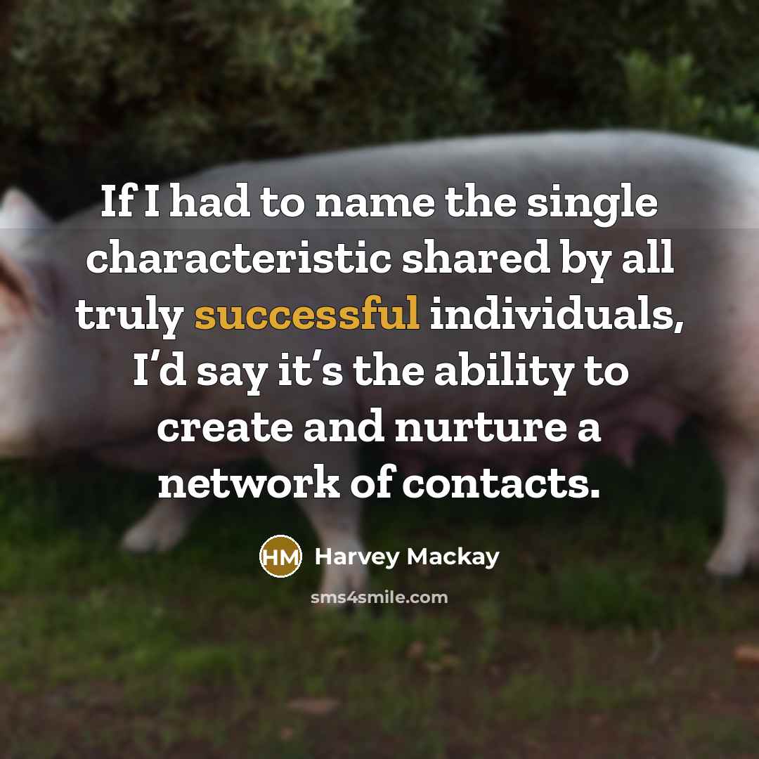 “If I had to name the single characteristic shared by…” quote by Harvey Mackay