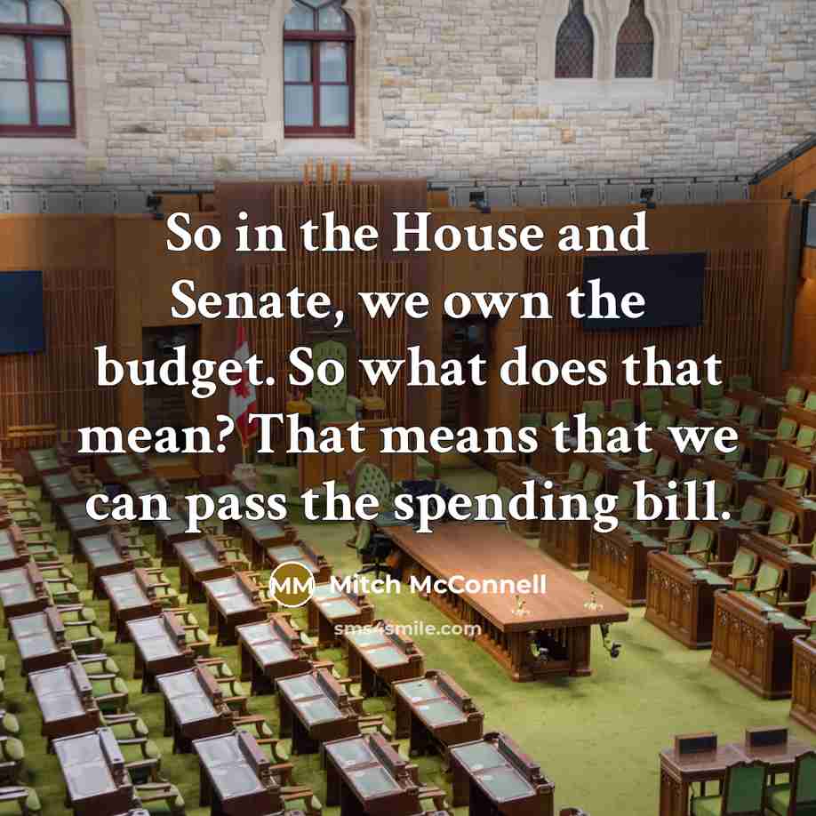 “So in the House and Senate, we own the budget.…” quote by Mitch McConnell