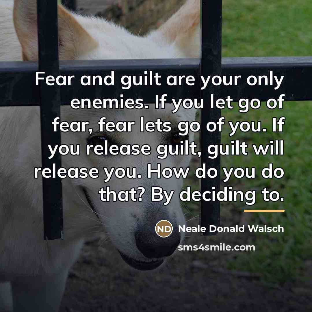 “Fear and guilt are your only enemies. If you let…” quote by Neale Donald Walsch