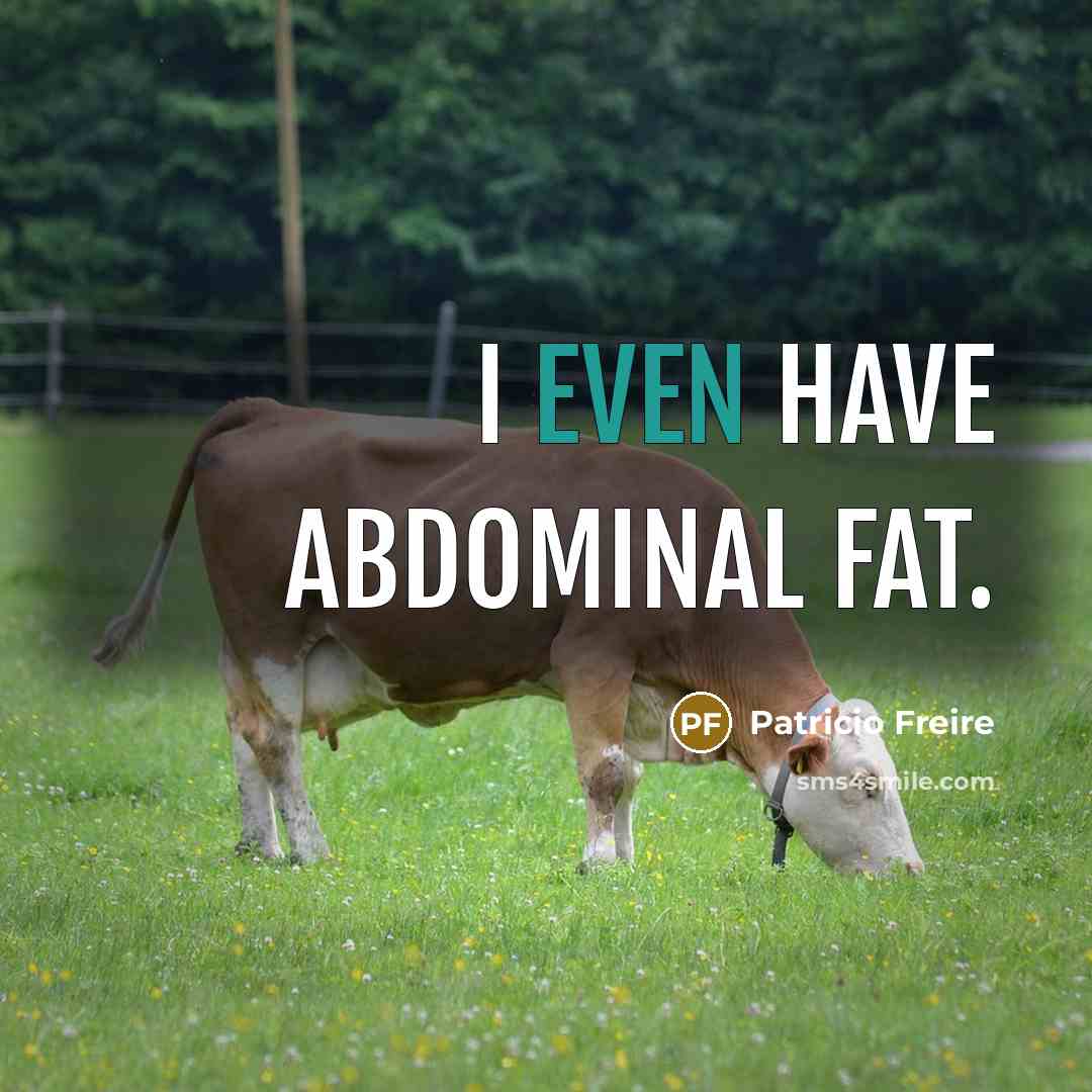 “I even have abdominal fat.…” quote by Patricio Freire