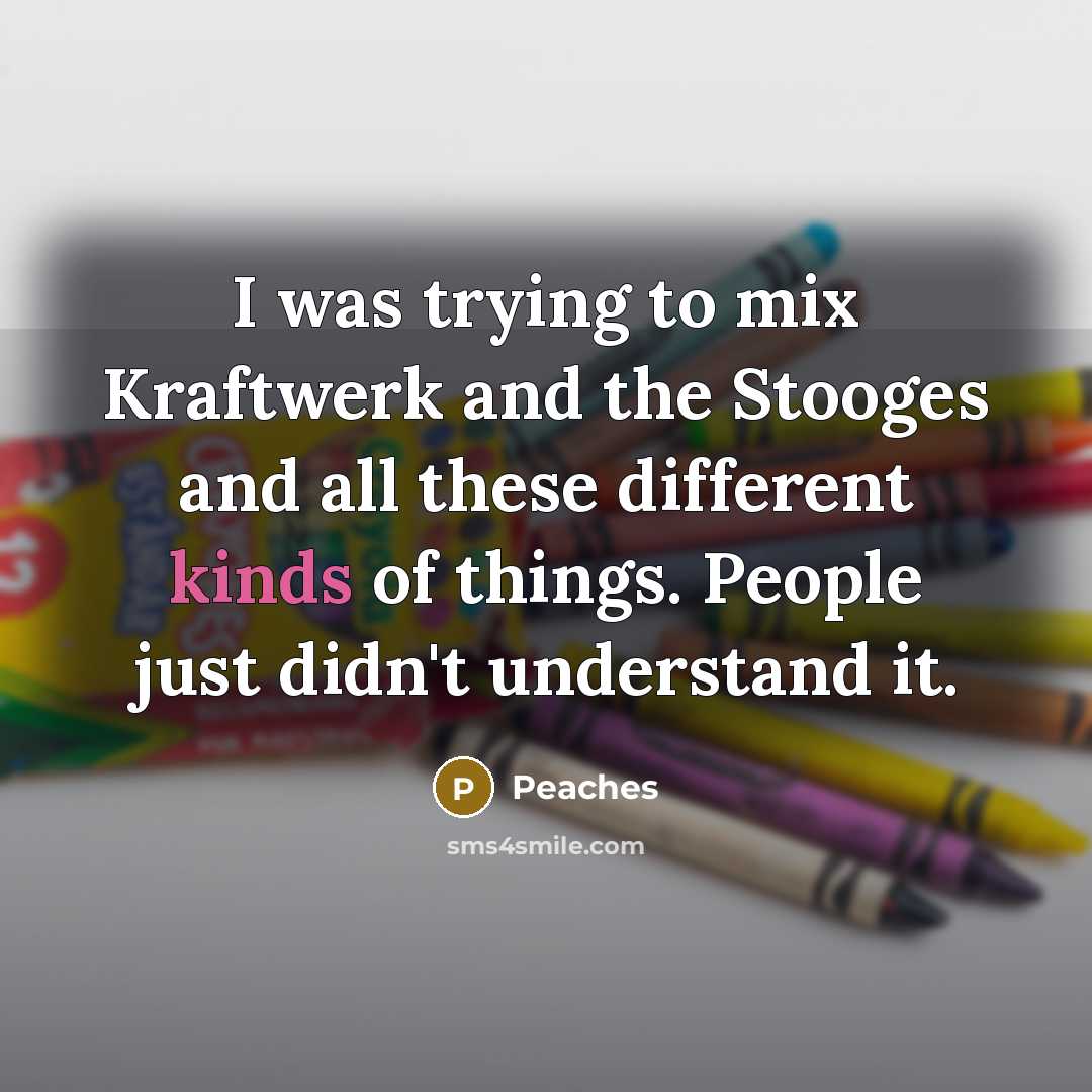 “I was trying to mix Kraftwerk and the Stooges and…” quote by Peaches
