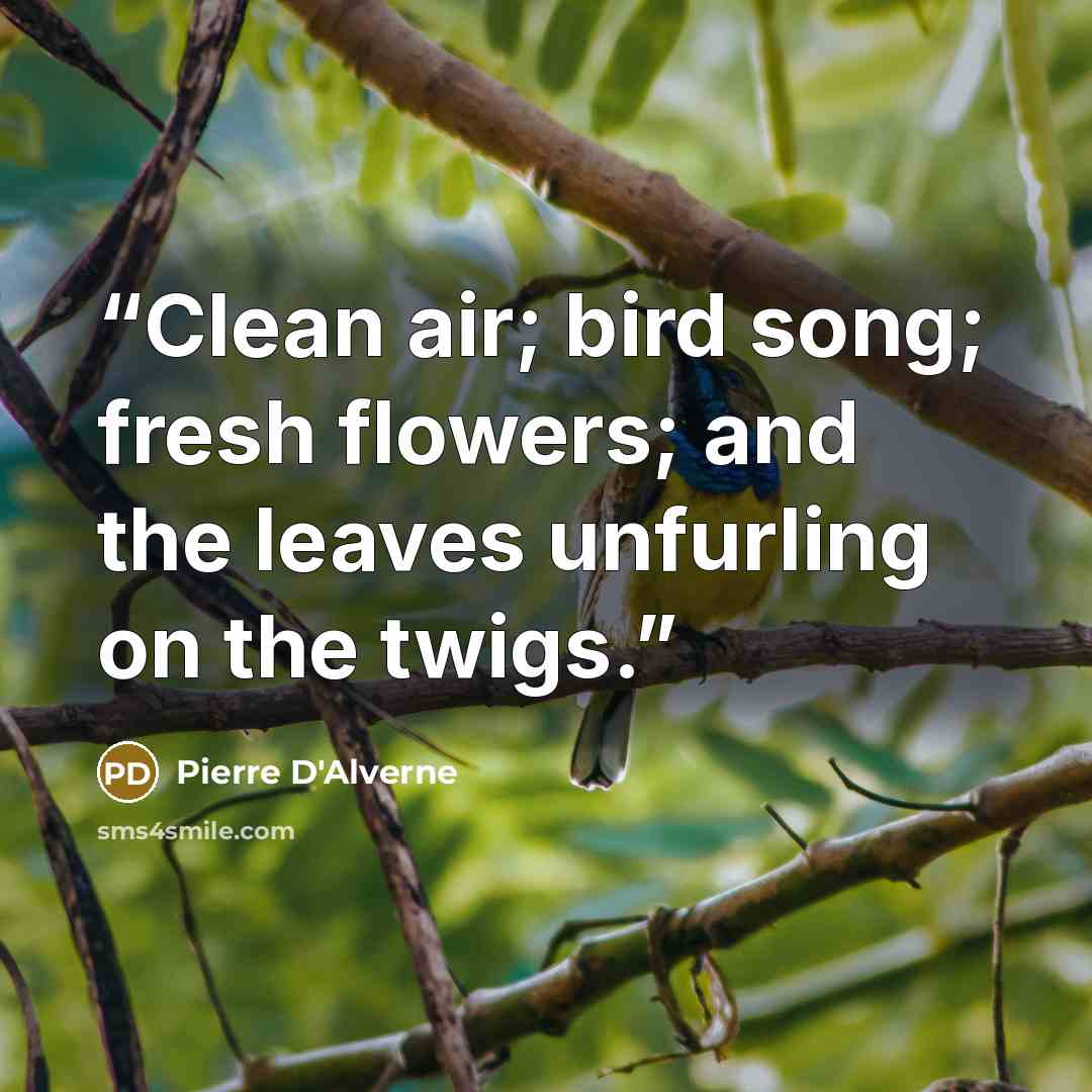 “Clean air; bird song; fresh flowers; and the leaves unfurling on the twigs.” quote by Pierre D'Alverne
