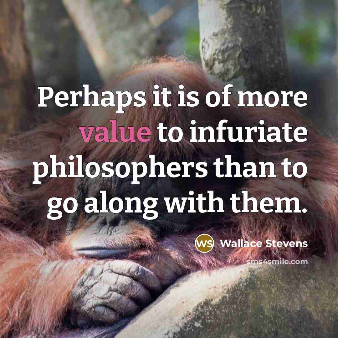 “Perhaps it is of more value to infuriate philosophers than…” quote by Wallace Stevens