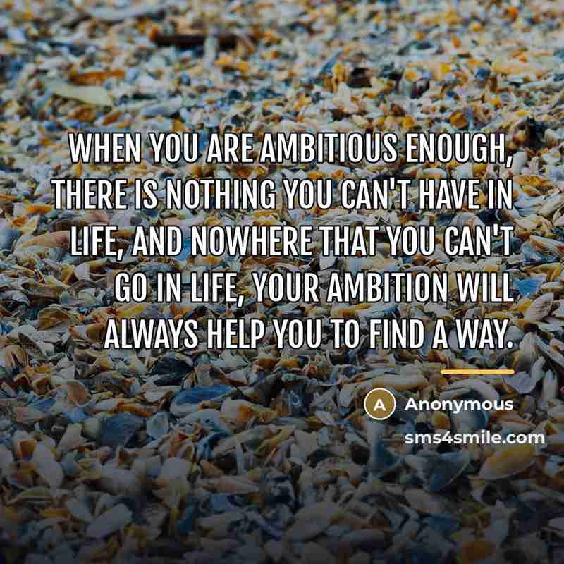 “When you are ambitious enough, there is nothing you can't…” quote by Anonymous