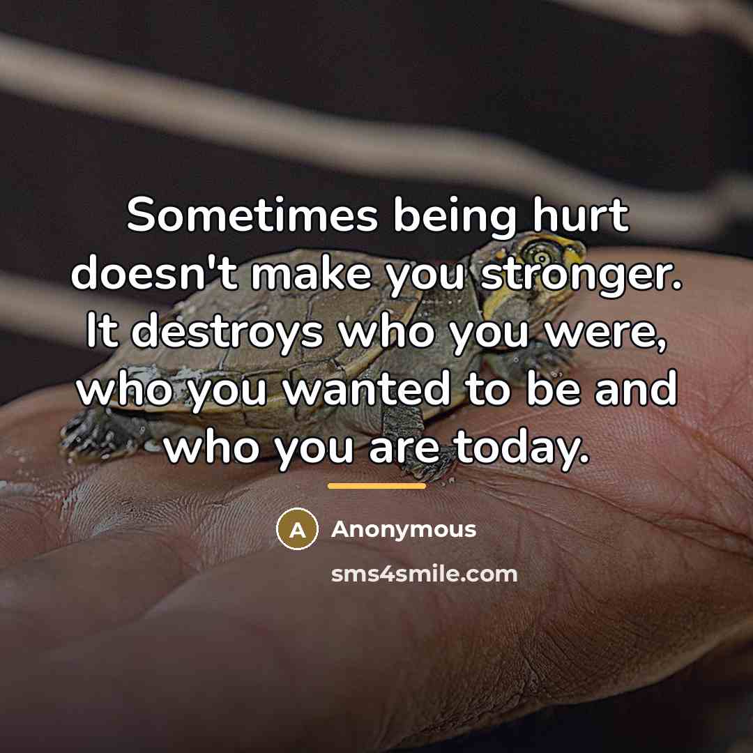 “Sometimes being hurt doesn't make you stronger. It destroys who…” quote by Anonymous