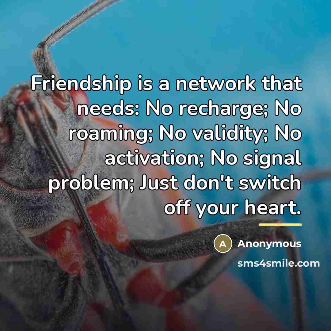 “Friendship is a network that needs: No recharge; No roaming;…” quote by Anonymous