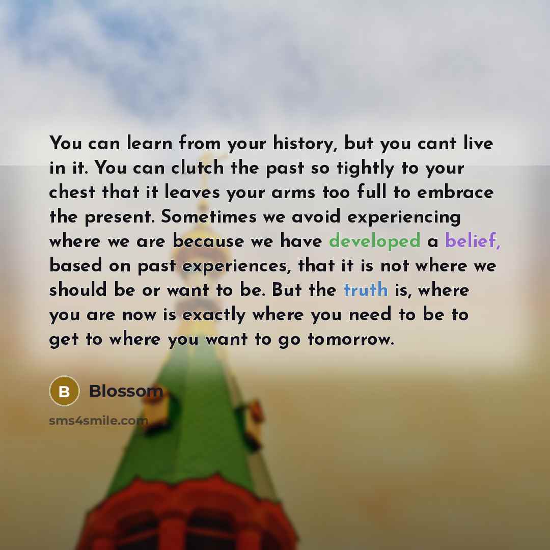 “You can learn from your history, but you cant live…” quote by Blossom
