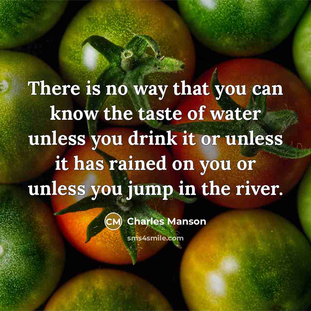 “There is no way that you can know the taste…” quote by Charles Manson