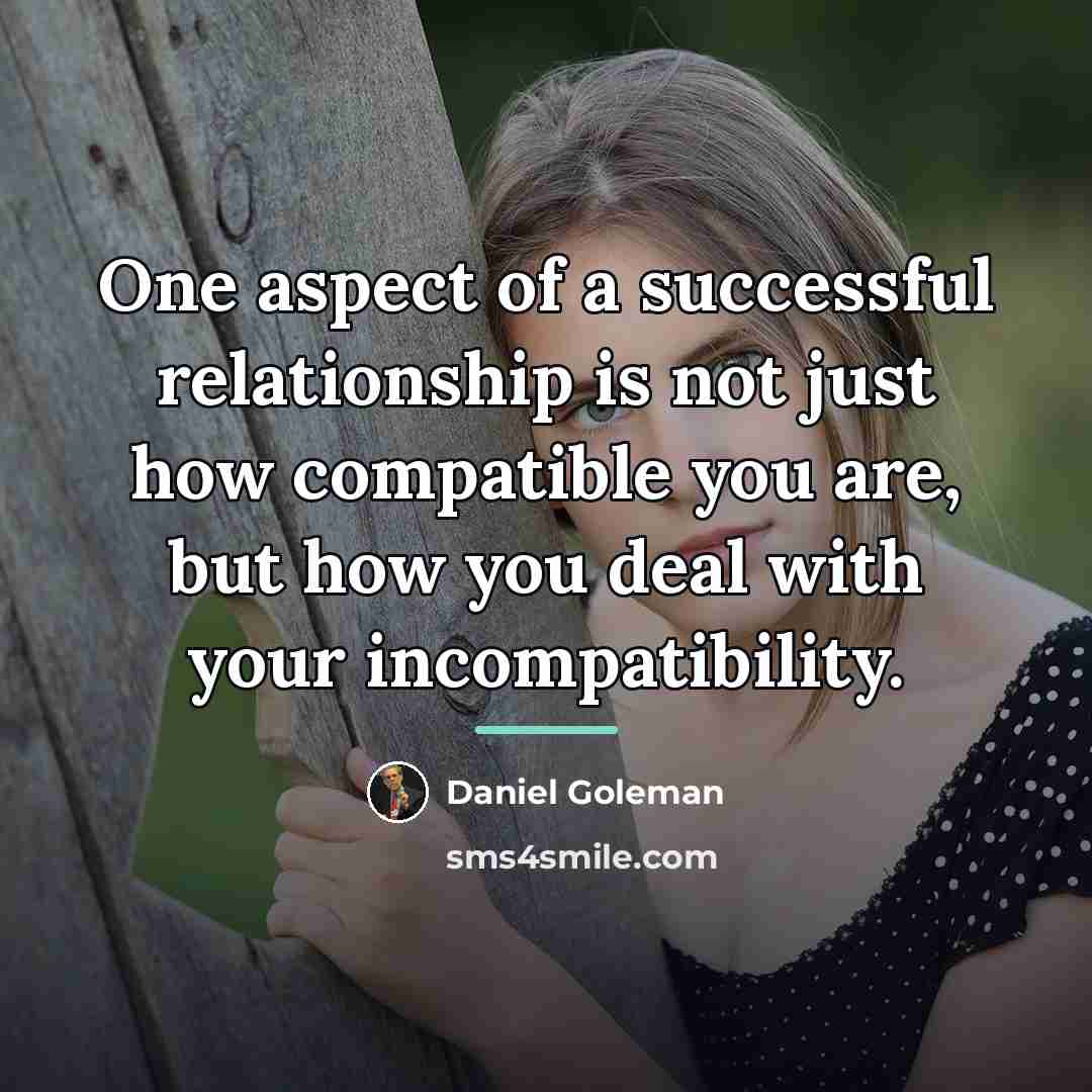 “One aspect of a successful relationship is not just how…” quote by Daniel Goleman