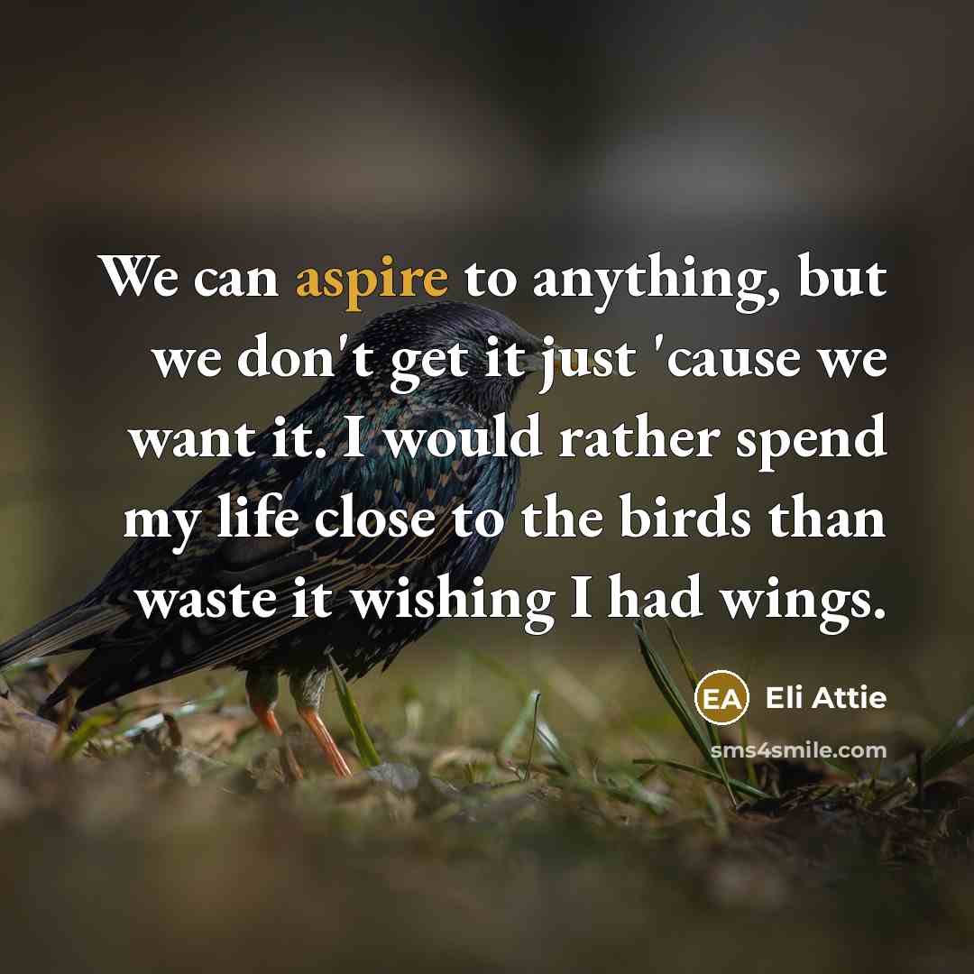 “We can aspire to anything, but we don't get it…” quote by Eli Attie