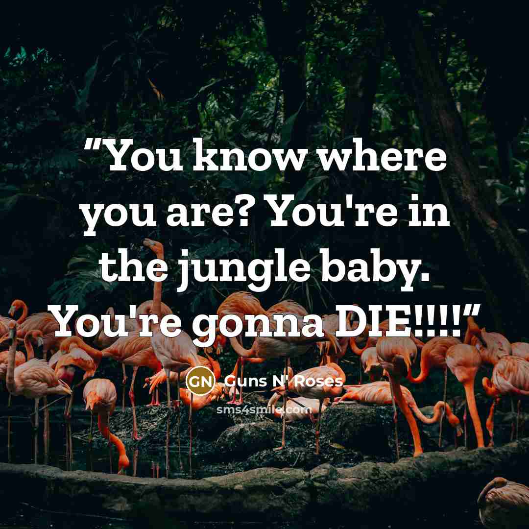 “You know where you are? You're in the jungle baby. You're gonna DIE!!!!” quote by Guns N' Roses