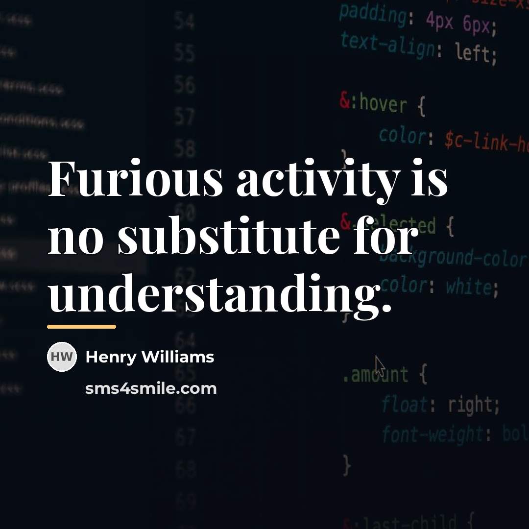 “Furious activity is no substitute for understanding.…” quote by Henry Williams