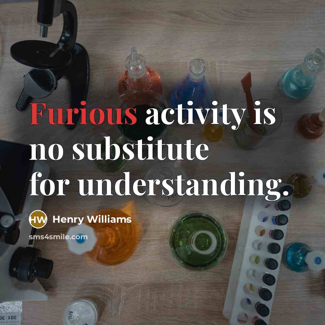“Furious activity is no substitute for understanding.” quote by Henry Williams