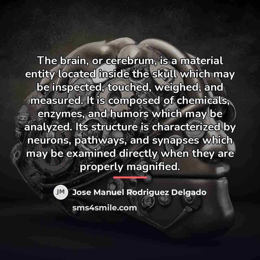 “The brain, or cerebrum, is a material entity located inside…” quote by Jose Manuel Rodriguez Delgado