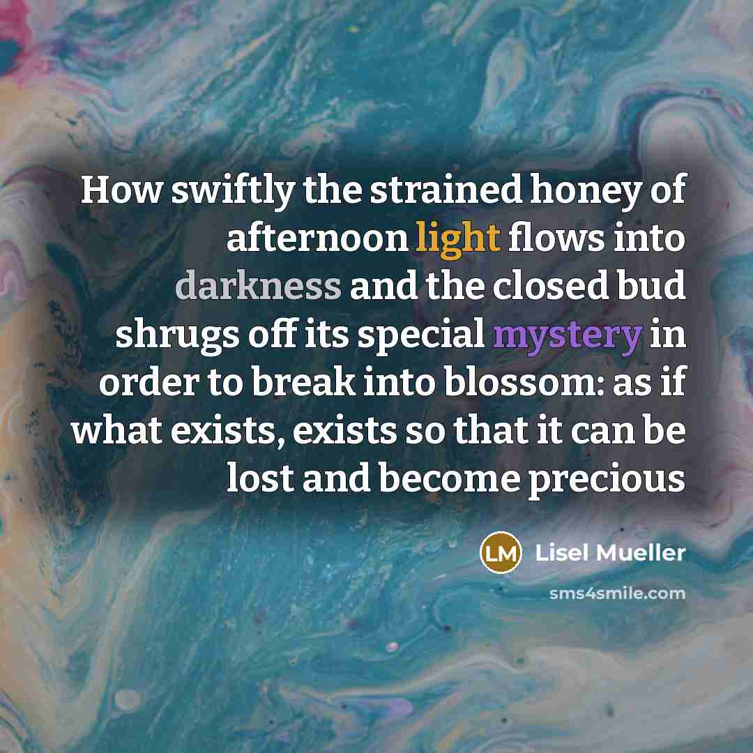 “How swiftly the strained honey of afternoon light flows into…” quote by Lisel Mueller