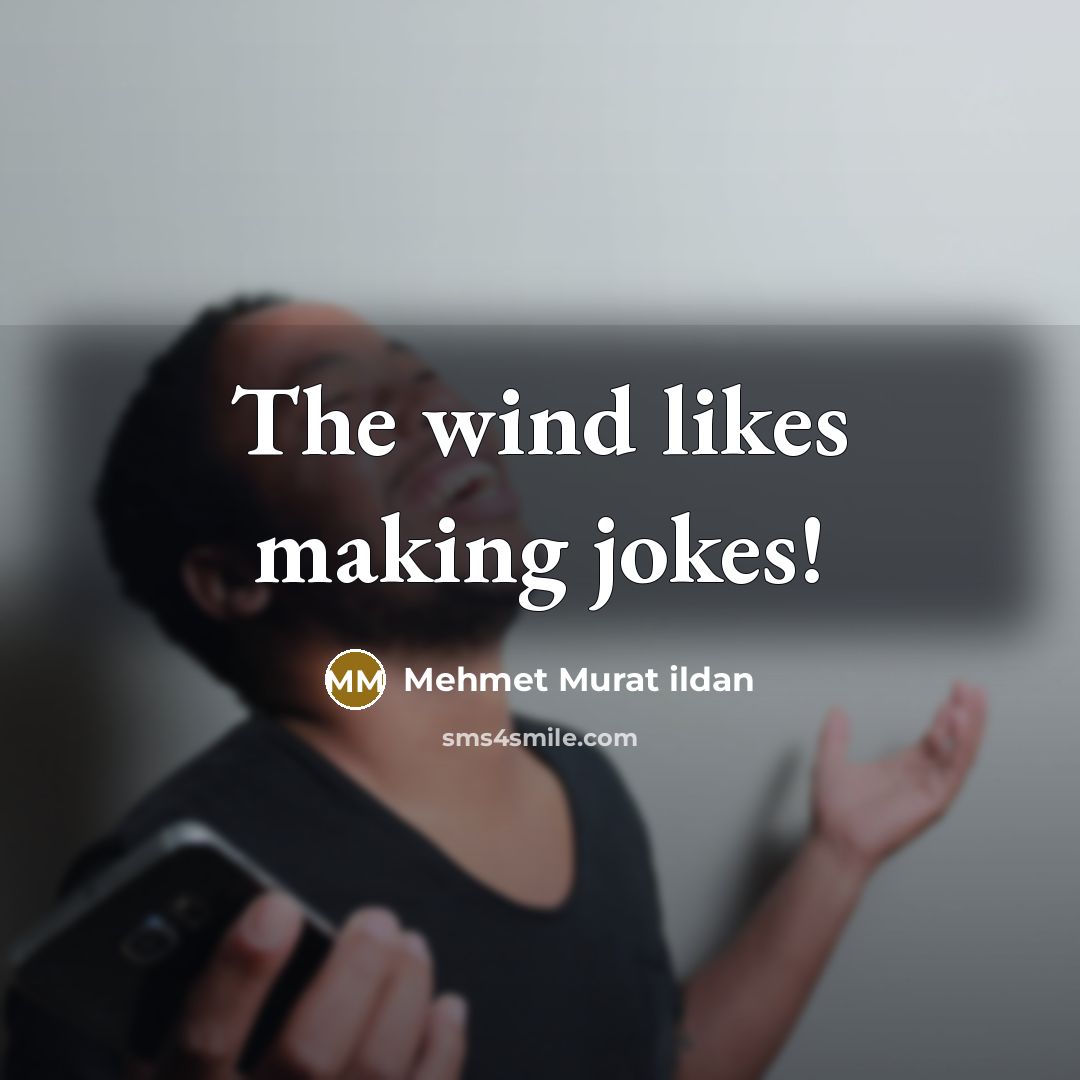 “The wind likes making jokes!…” quote by Mehmet Murat Ildan