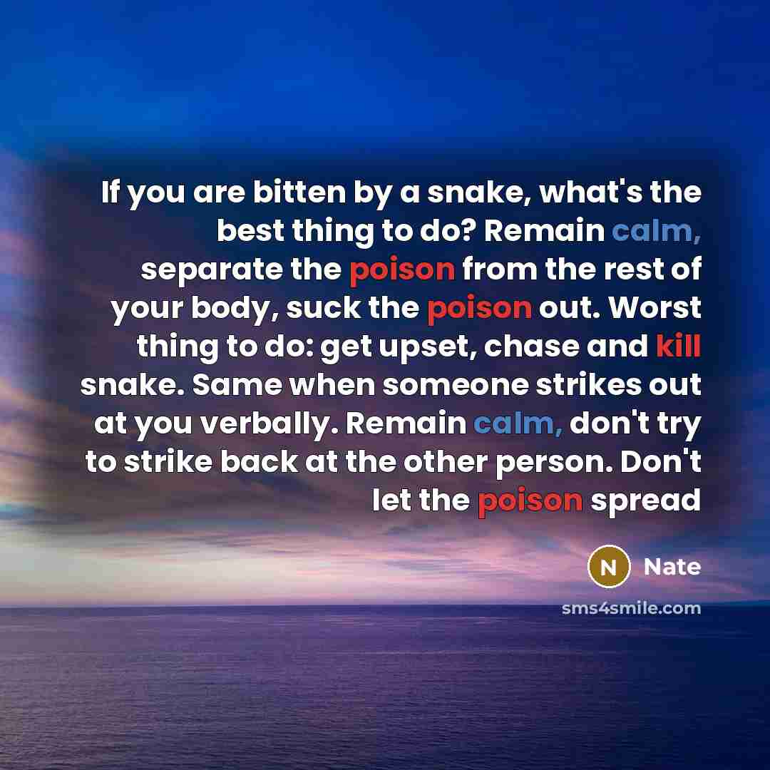 “If you are bitten by a snake, what's the best thing to do? Remain calm, separate the poison from the rest of your body, suck the poison out. Worst thing to do: get upset, chase and kill snake. Same when someone strikes out at you verbally. Remain calm, don't try to strike back at the other person…” quote by Nate