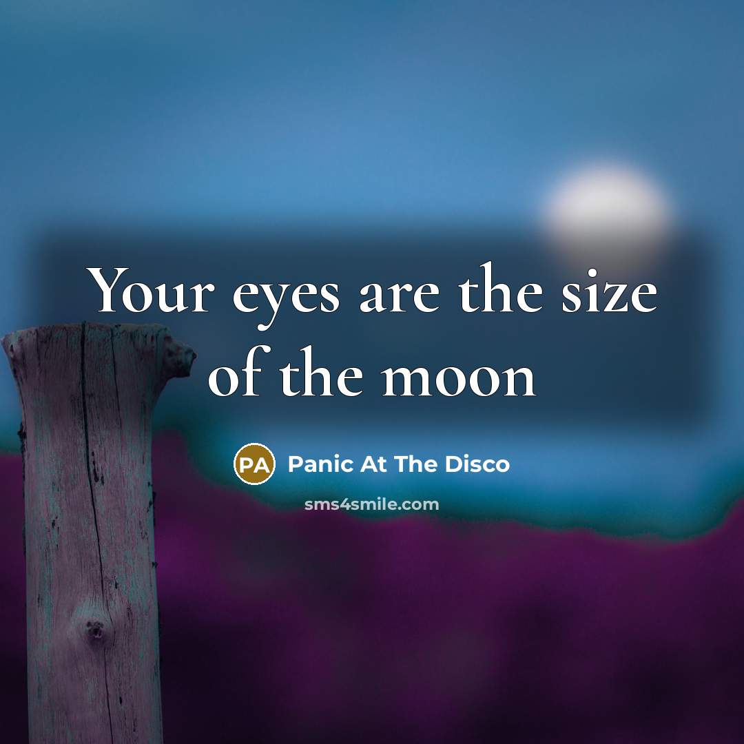 “Your eyes are the size of the moon” quote by Panic At The Disco