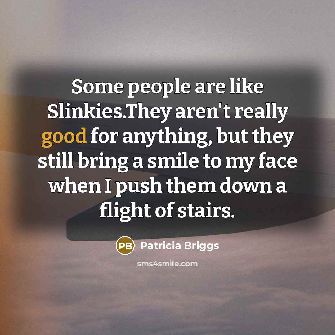 “Some people are like Slinkies.They aren't really good for anything,…” quote by Patricia Briggs