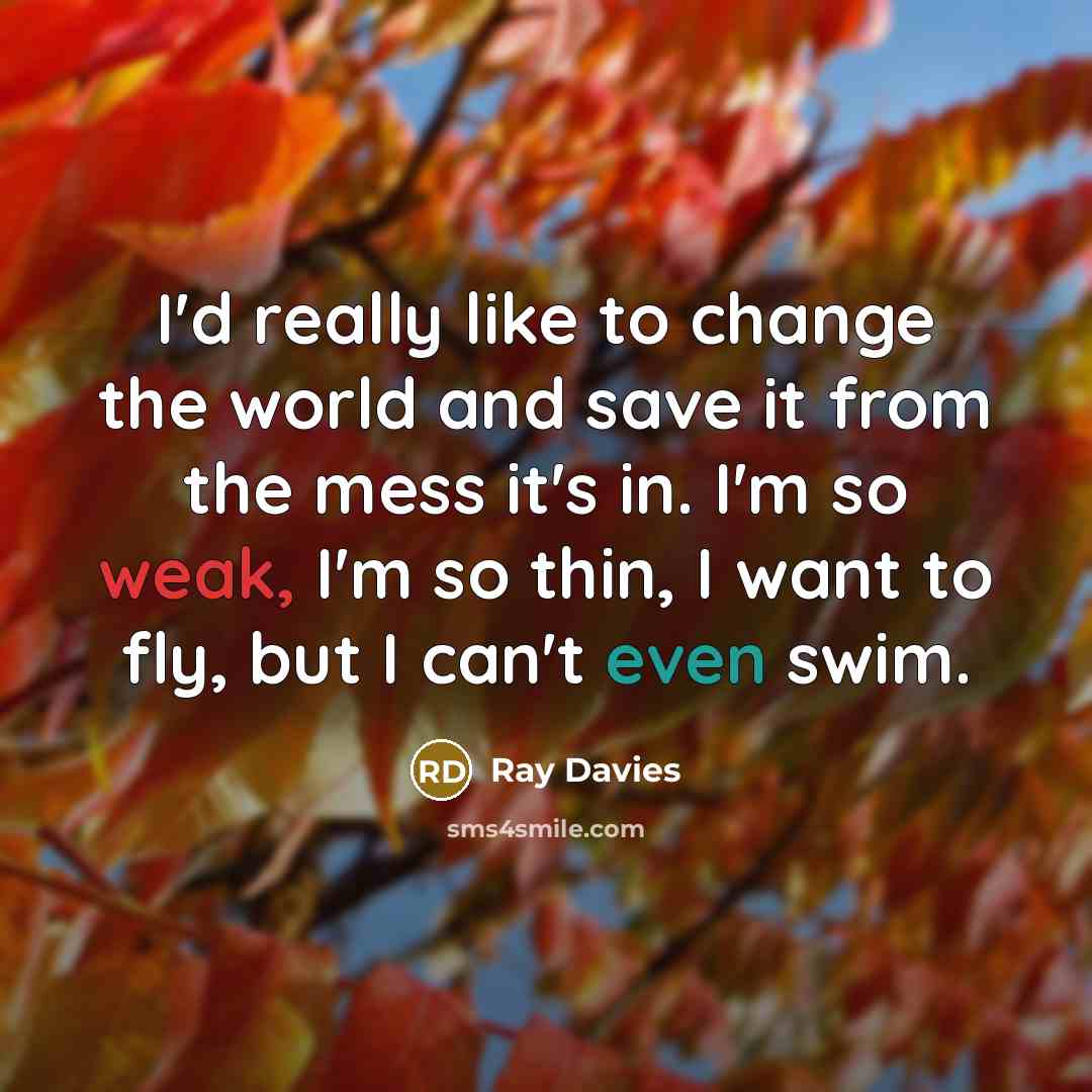 “I'd really like to change the world and save it…” quote by Ray Davies
