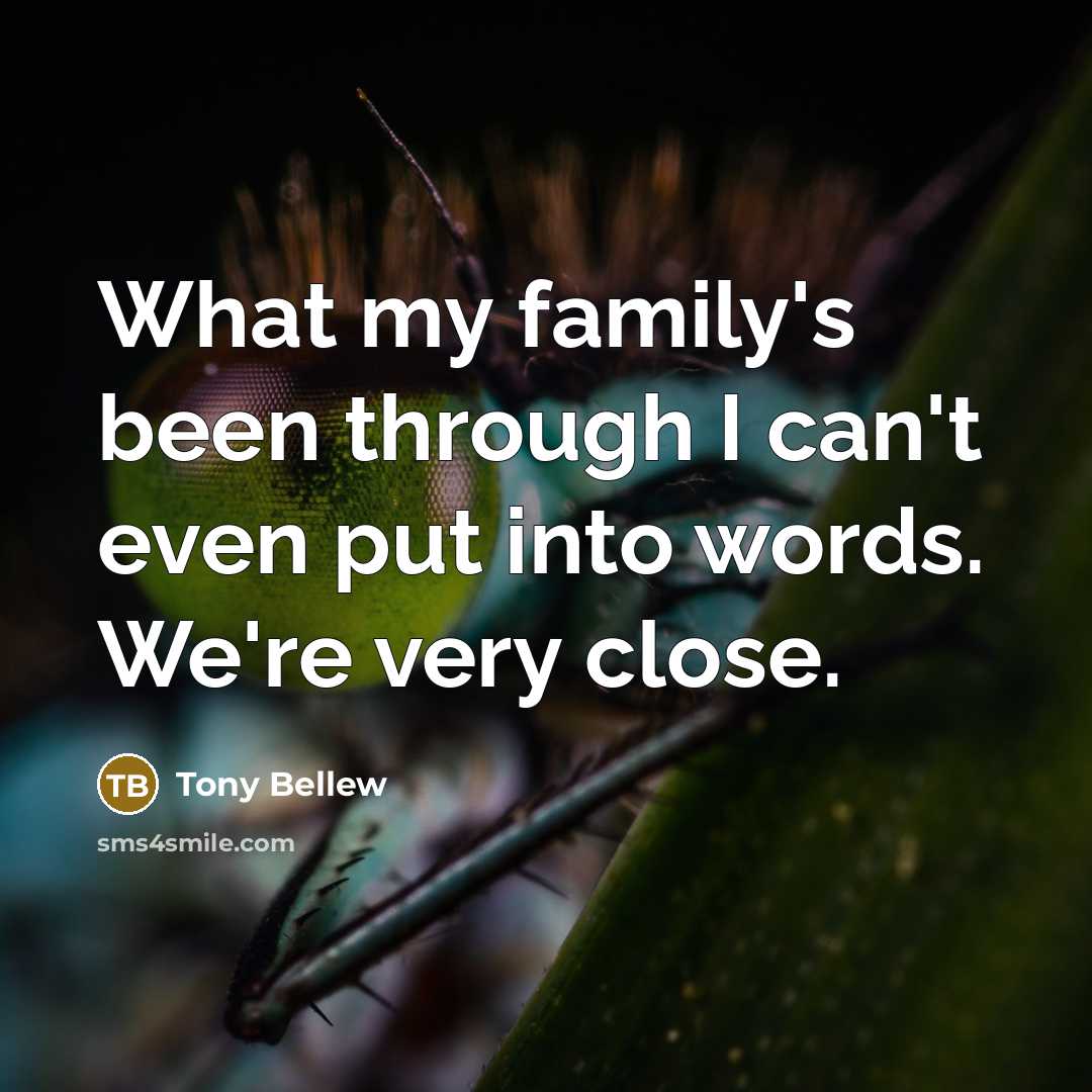 “What my family's been through I can't even put into…” quote by Tony Bellew