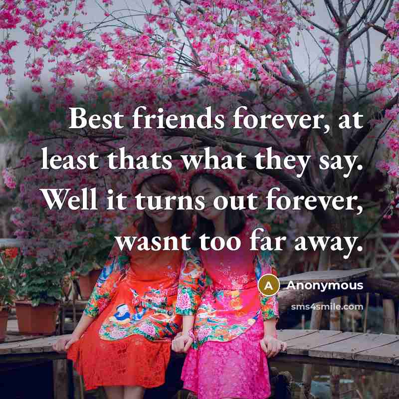 “Best friends forever, at least thats what they say. Well…” quote by Anonymous