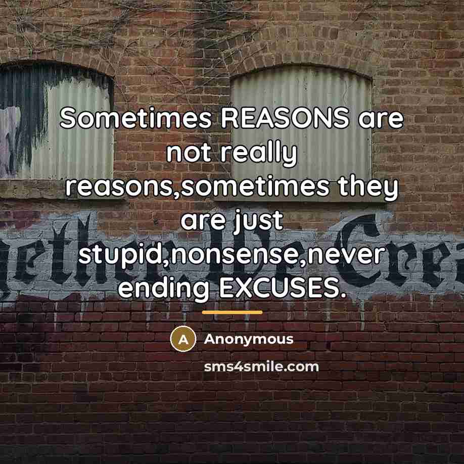 “Sometimes REASONS are not really reasons,sometimes they are just stupid,nonsense,never…” quote by Anonymous