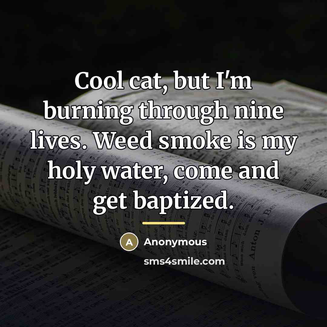 “Cool cat, but I'm burning through nine lives. Weed smoke…” quote by Anonymous