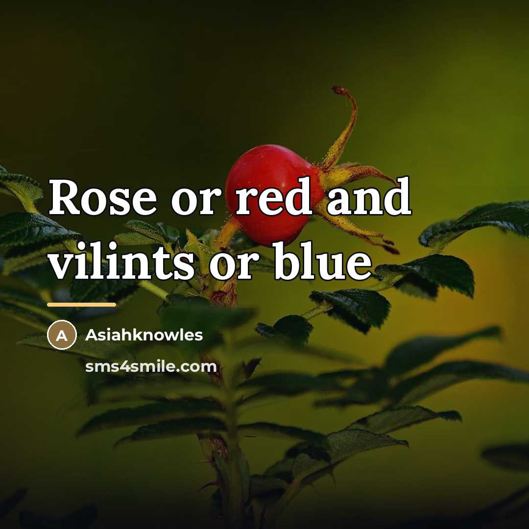 “Rose or red and vilints or blue…” quote by Asiahknowles