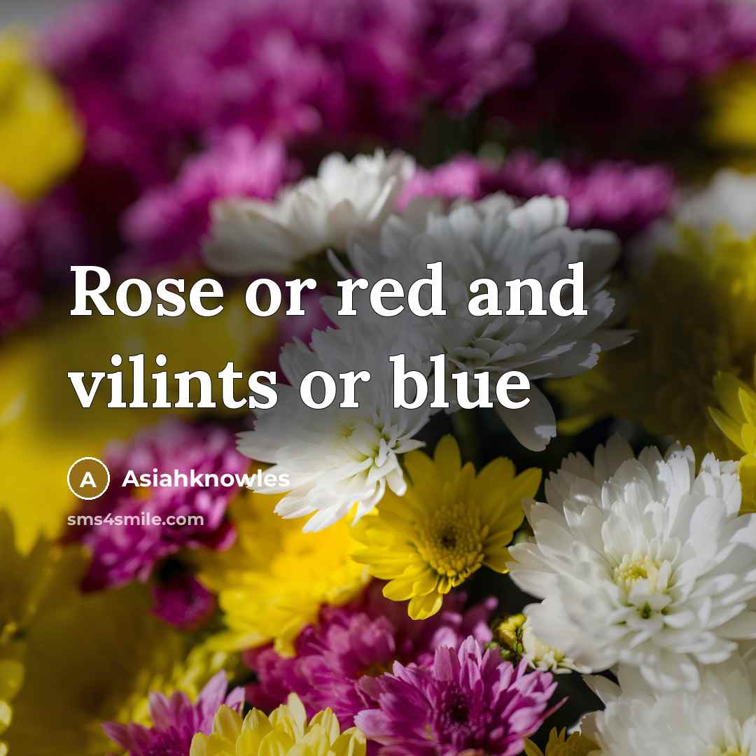 “Rose or red and vilints or blue” quote by Asiahknowles