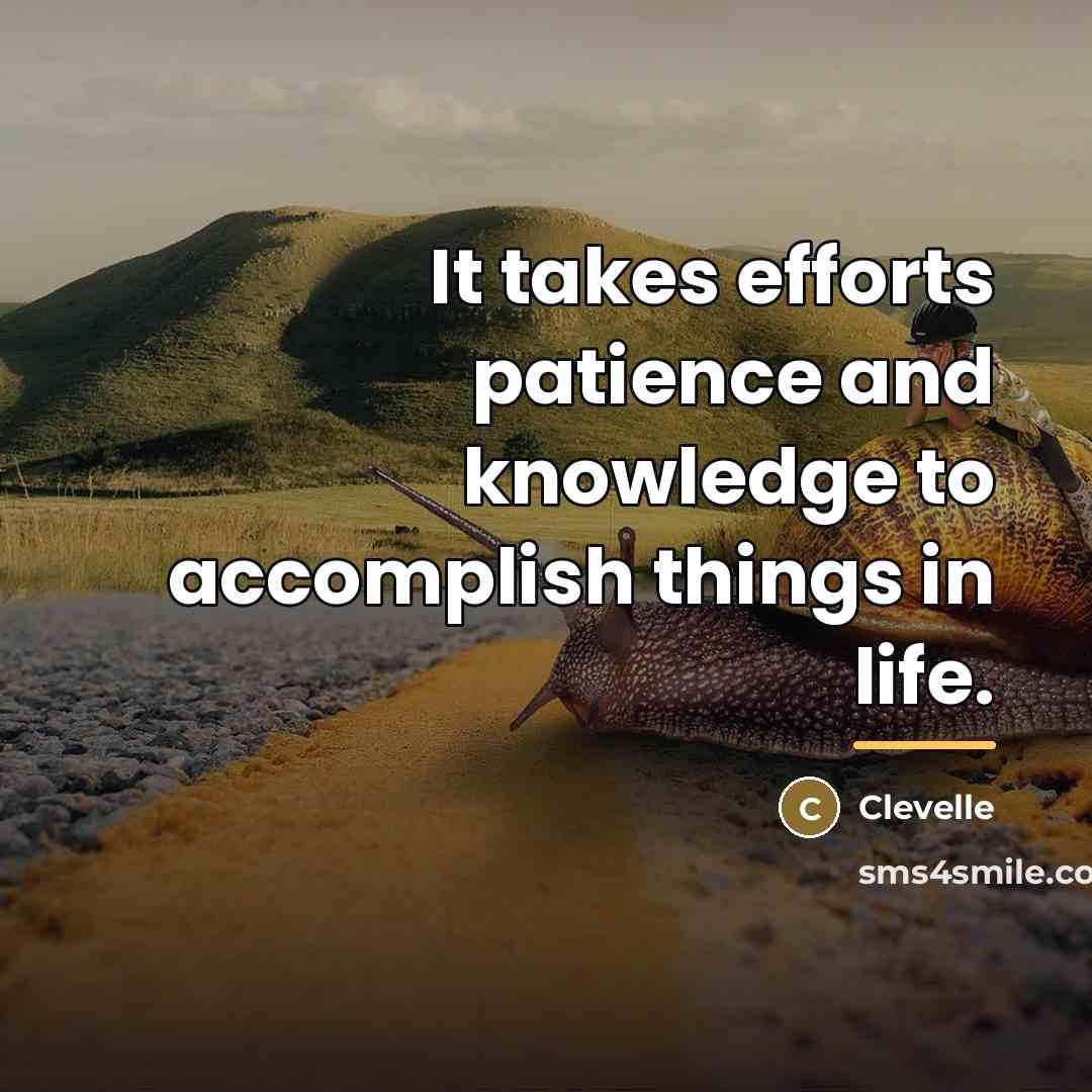 “It takes efforts patience and knowledge to accomplish things in…” quote by Clevelle