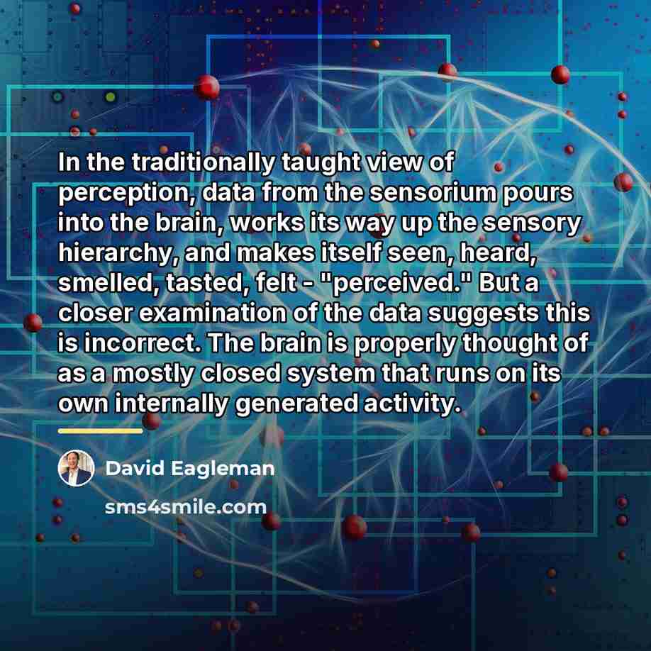 “In the traditionally taught view of perception, data from the…” quote by David Eagleman