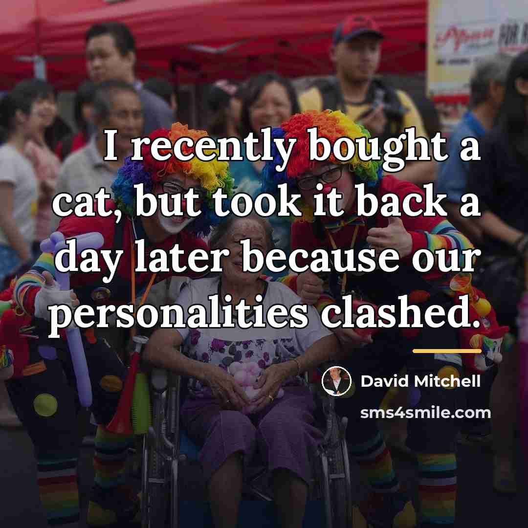 “I recently bought a cat, but took it back a…” quote by David Mitchell