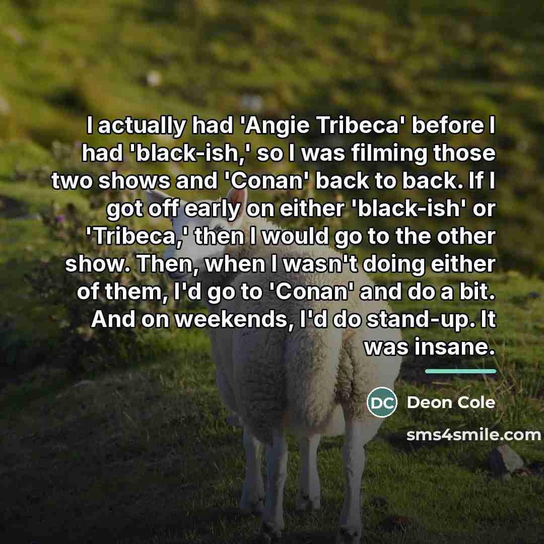 “I actually had 'Angie Tribeca' before I had 'black-ish,' so…” quote by Deon Cole