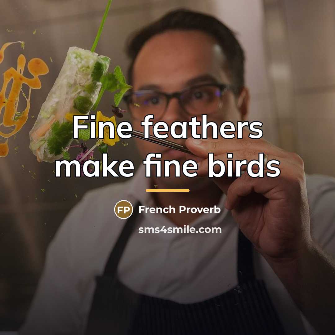“Fine feathers make fine birds…” quote by French Proverb