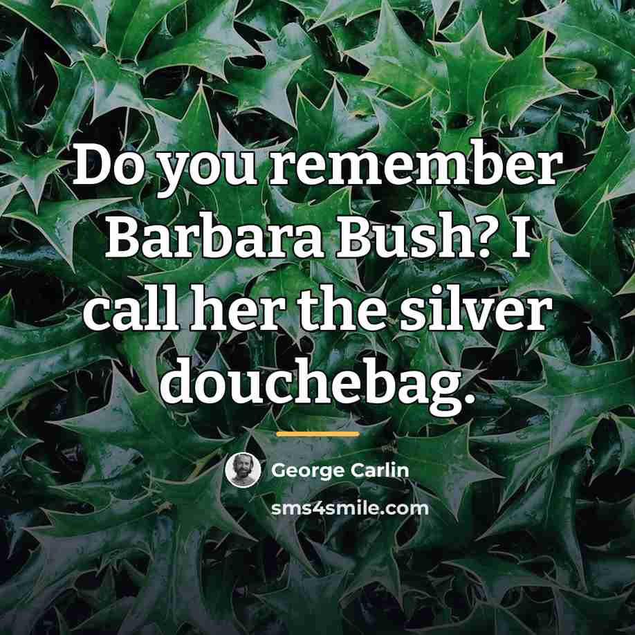 “Do you remember Barbara Bush? I call her the silver…” quote by George Carlin