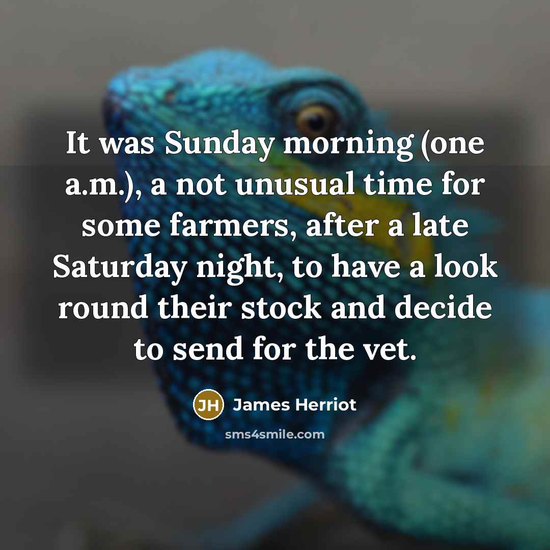 “It was Sunday morning (one a.m.), a not unusual time…” quote by James Herriot