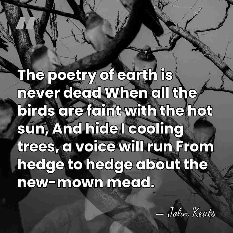 The poetry of earth is never dead When all the birds are&hellip; - John Keats