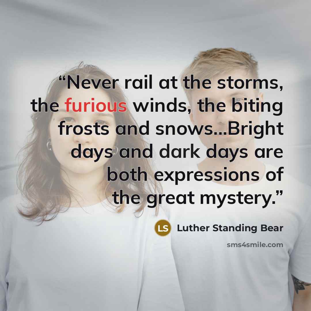 “Never rail at the storms, the furious winds, the biting frosts and snows...Bright days and dark days are both expressions of the great mystery.” quote by Luther Standing Bear