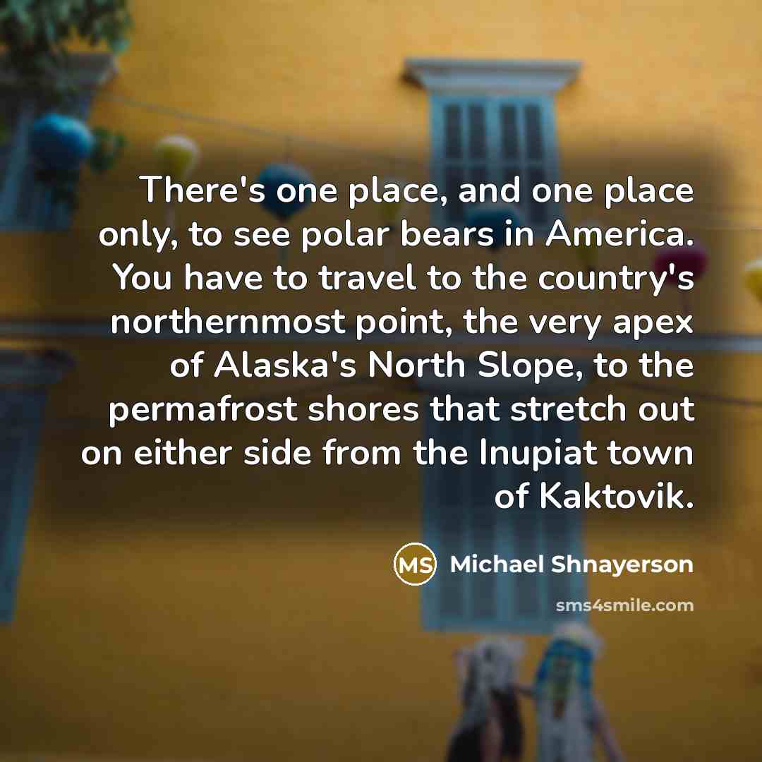“There's one place, and one place only, to see polar bears in America. You have to travel to the country's northernmost point, the very apex of Alaska's North Slope, to the permafrost shores that stretch out on either side from the Inupiat town of Kaktovik.” quote by Michael Shnayerson